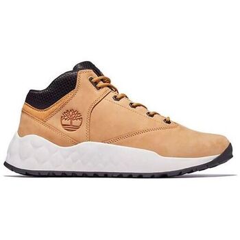 Timberland Nette schoenen  -