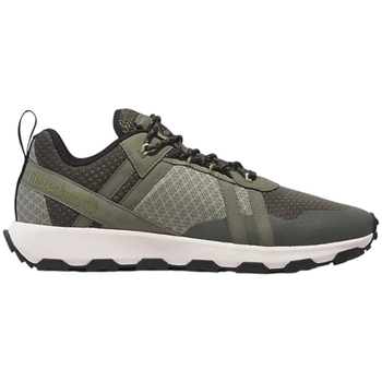 Timberland Nette schoenen  WINSOR TRAIL LOW LACE UP