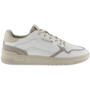 Victoria Sneakers  Baskets C80