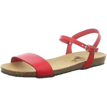 Plakton Sandalen  -