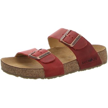 Haflinger Klompen  -