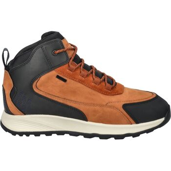 Geox Laarzen  Enkellaarzen