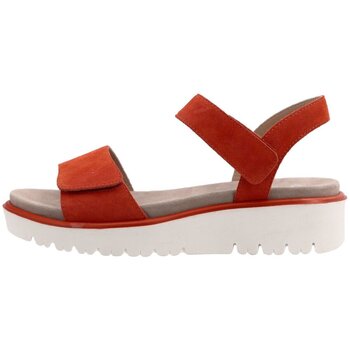 Ara Sandalen  -