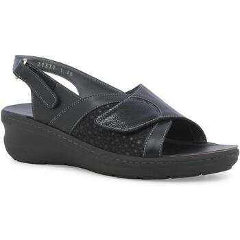 Melluso Sandalen  K95208Z-253749