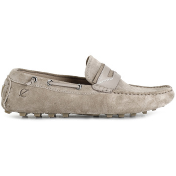 Café Noir Mocassins  C1TR6111