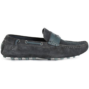 Café Noir Mocassins  C1TR6111
