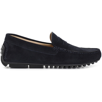 Café Noir Mocassins  C1XN6916