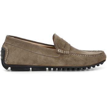 Café Noir Mocassins  C1XN6916