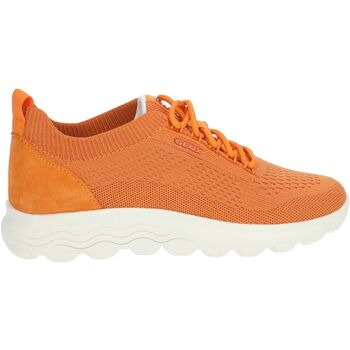 Geox Lage Sneakers  Sneaker