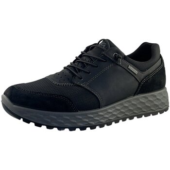 Ara Mocassins  -