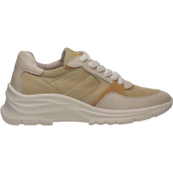 Salamander Lage Sneakers  Sneaker