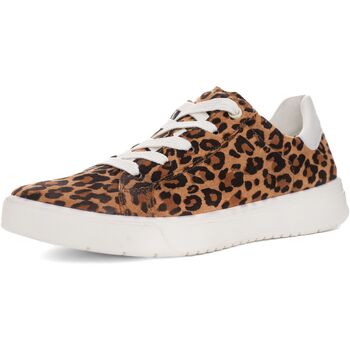 Ara Lage Sneakers  Sneaker