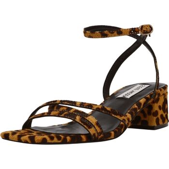 Steve Madden Sandalen  Sandalen
