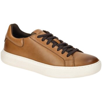 Geox Nette Schoenen  -