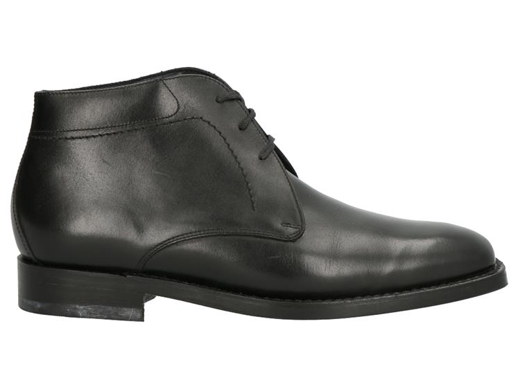 Van Lier 2861 10