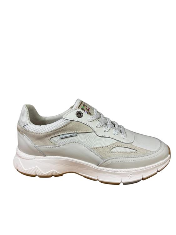 Floris van Bommel Sfw-10101