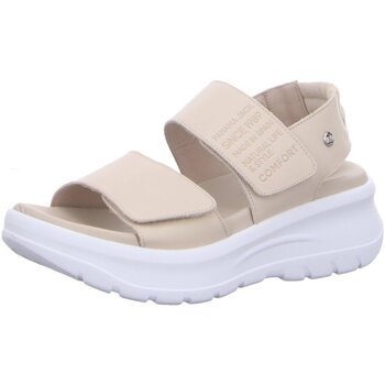 Panama Jack Sandalen  -