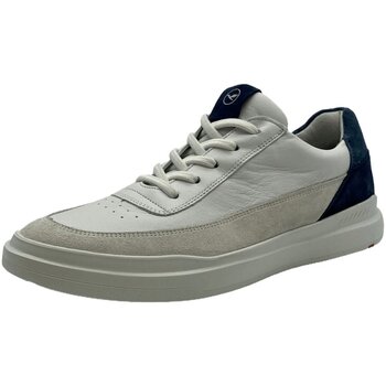 Lloyd Nette Schoenen  -