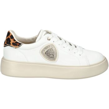 Blauer Lage Sneakers  Sneaker