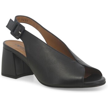 Melluso Sandalen  MEL-RRR-N622-243638