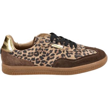 Steve Madden Sneakers  Sneaker