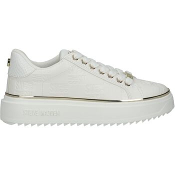 Steve Madden Sneakers  Sneaker