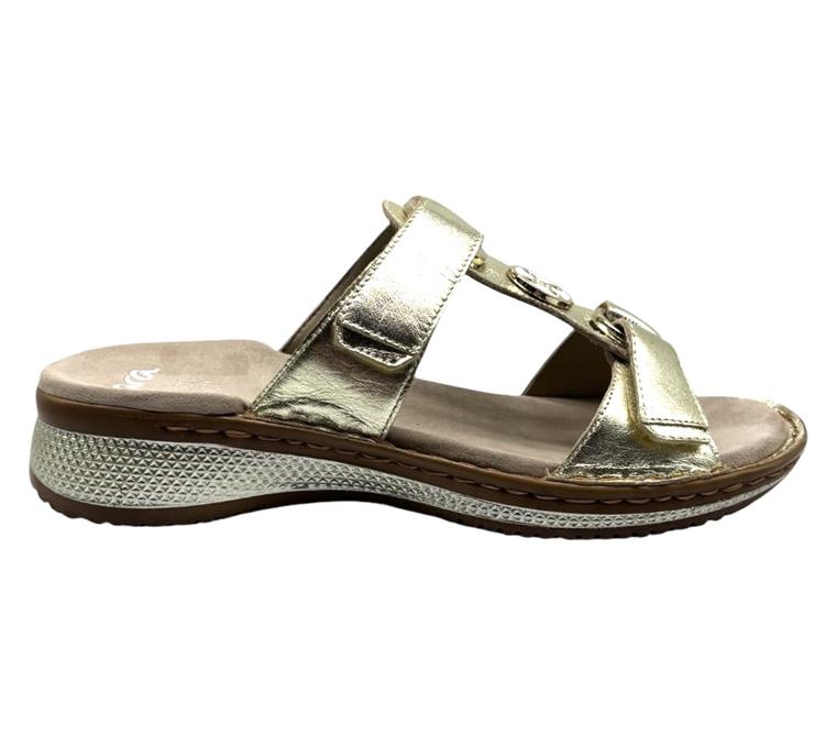 Ara 12-29003 hawaii