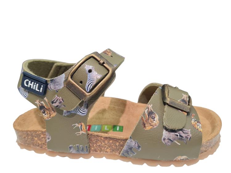 Chili Safari 1