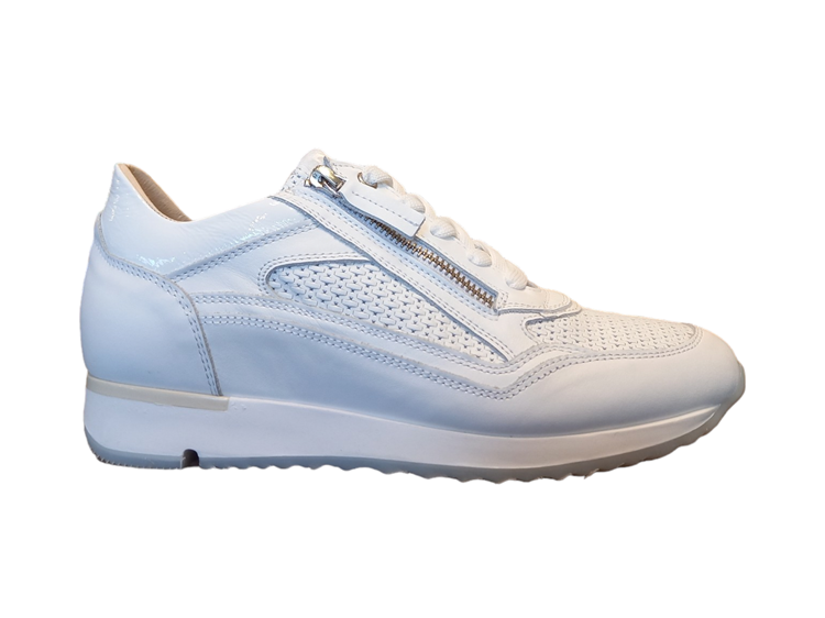 DL Sport 6216