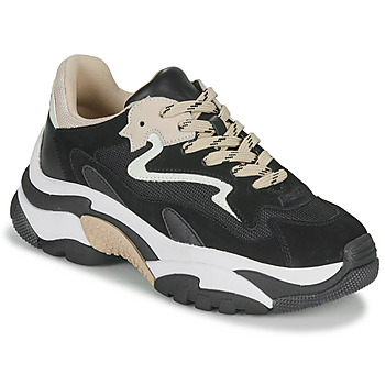 Ash Lage Sneakers  ADDICT