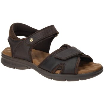 Panama Jack Sandalen  -