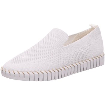 La strada Mocassins  -