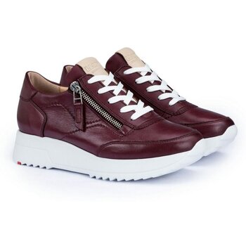 Lloyd Sneakers  -