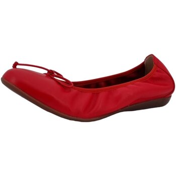 Wonders Ballerina's  -
