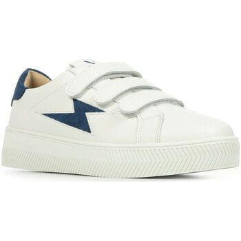 Vanessa Wu Sneakers  Camelia