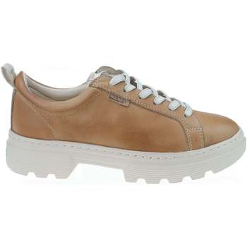 Pikolinos Sneakers  Asturias