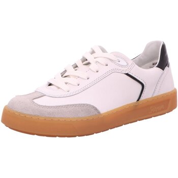 Sioux Sneakers  -