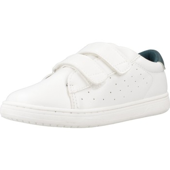 Chicco Sneakers  CLESS
