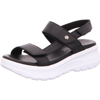 Panama Jack Sandalen  -
