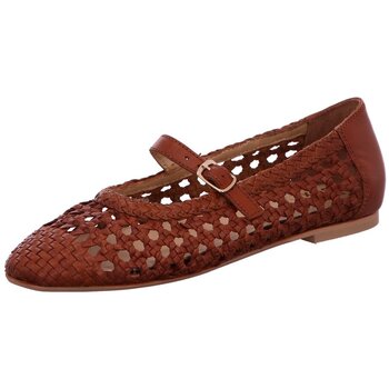 Bullboxer Ballerina's  -