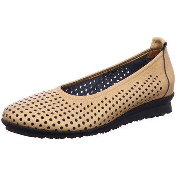 Arche Ballerina's  -