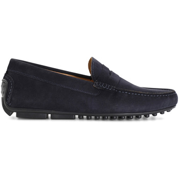 Café Noir Mocassins  C1XN6017