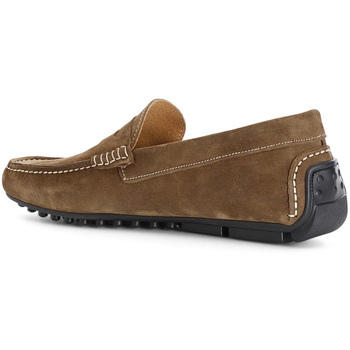 Café Noir Mocassins  C1XN6017