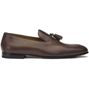 Doucal's Mocassins  -