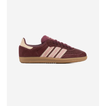 Adidas Sneakers  Samba Maroon Sand Strata Pony