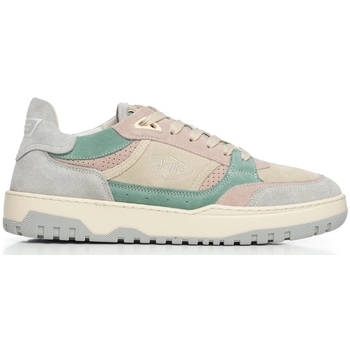 Sanjo Sneakers  BSK 33 Low Suede - Light Multicolor