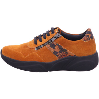 Solidus Lage Sneakers  -
