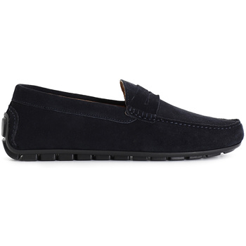 Café Noir Mocassins  C1XN1019