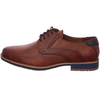 Lloyd Nette schoenen  -