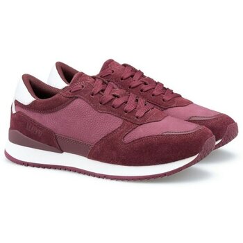 Lloyd Sneakers  -